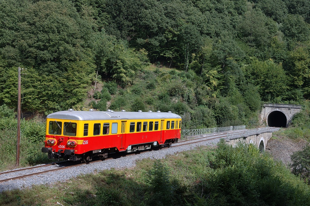 a train traveling down train tracks near a forest